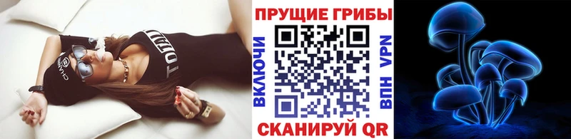 Галлюциногенные грибы прущие грибы  купить наркоту  Старая Русса 